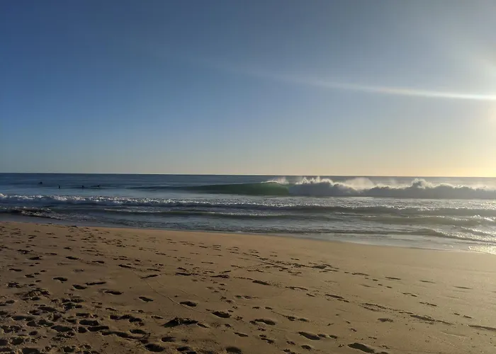 Surf Stay