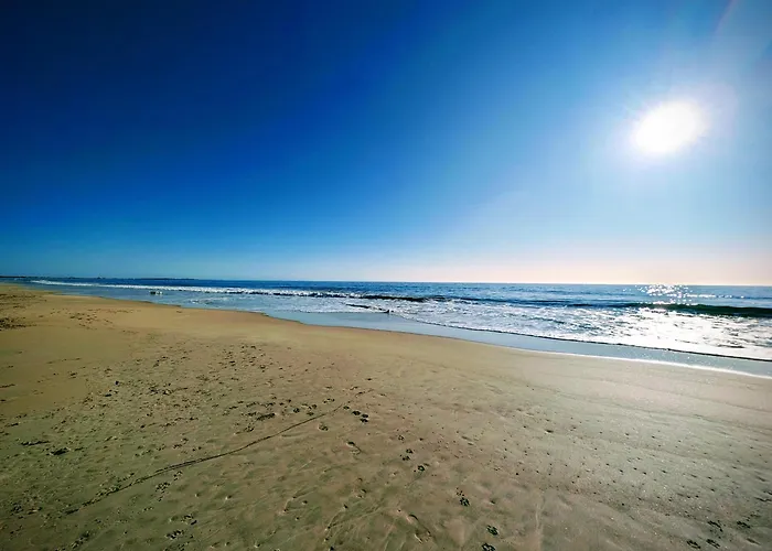 Surf Stay