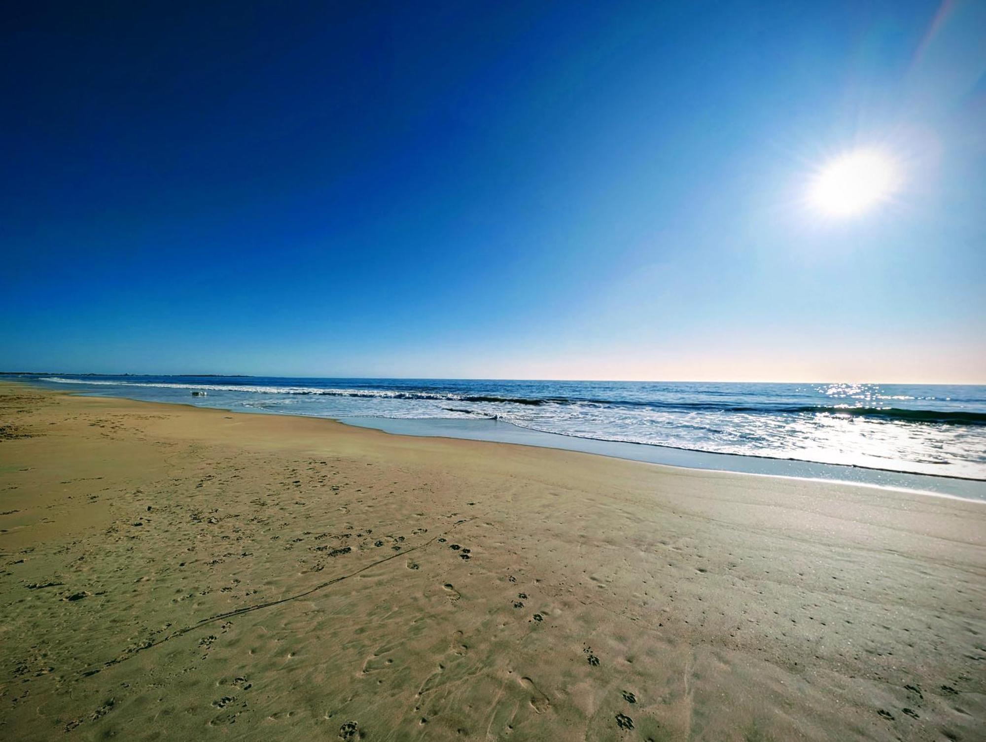 Surf